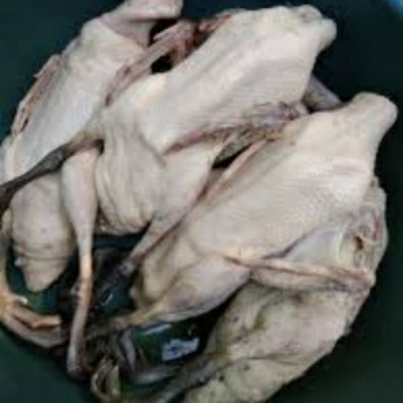 Jual Bebek Lokal Fresh 1kg Shopee Indonesia