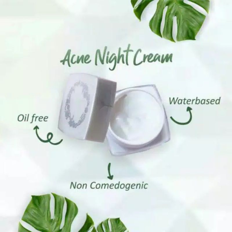Jual MS GLOW ACNE NIGHT CREAM ORI DENGAN BARCODE Shopee Indonesia