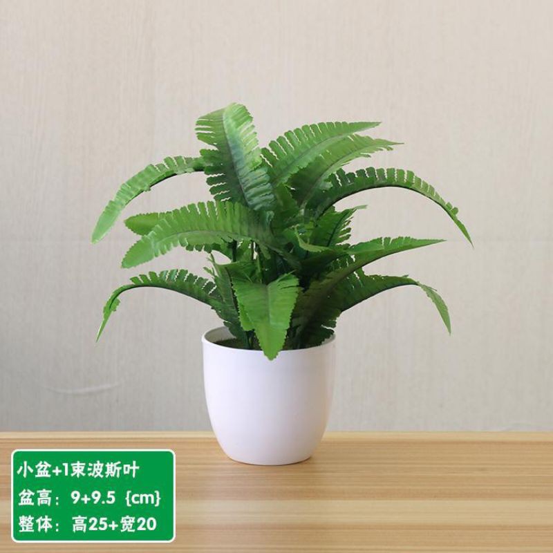 Jual JY DAUN TALAS / DAUN PAKIS TANAMAN HIAS PLASTIK POT BUNGA ...