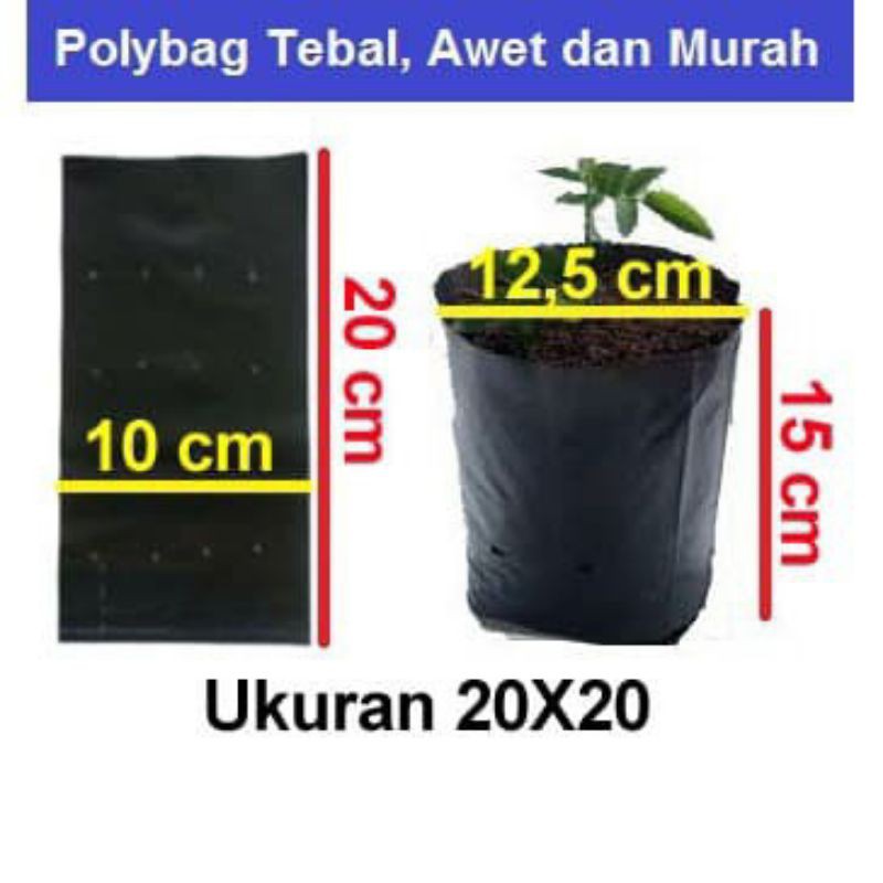 Jual 10 Polybek / Polybag Ukuran 20x20 U Tanaman | Shopee Indonesia