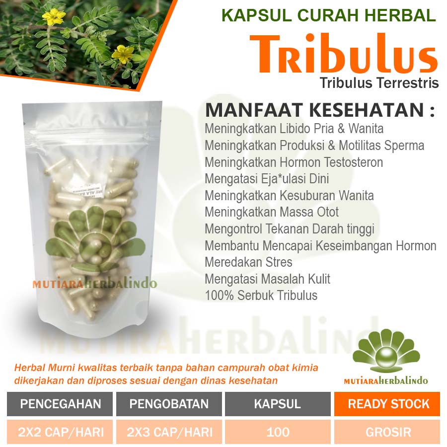 Kapsul Curah Herbal TRIBULUS Testosteron Libido Booster EDI Aphrodisiac Stamina Hipertensi Maag