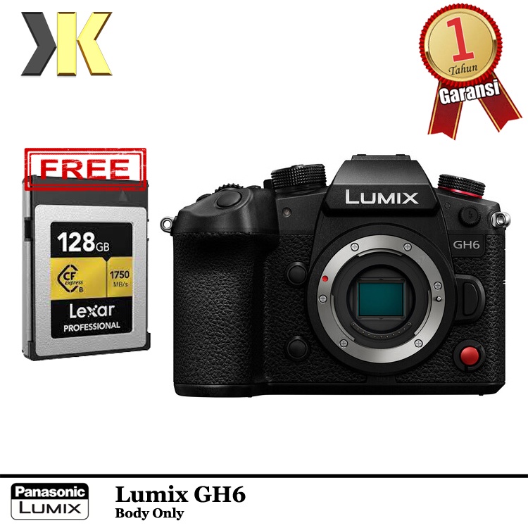 harga lumix gh6