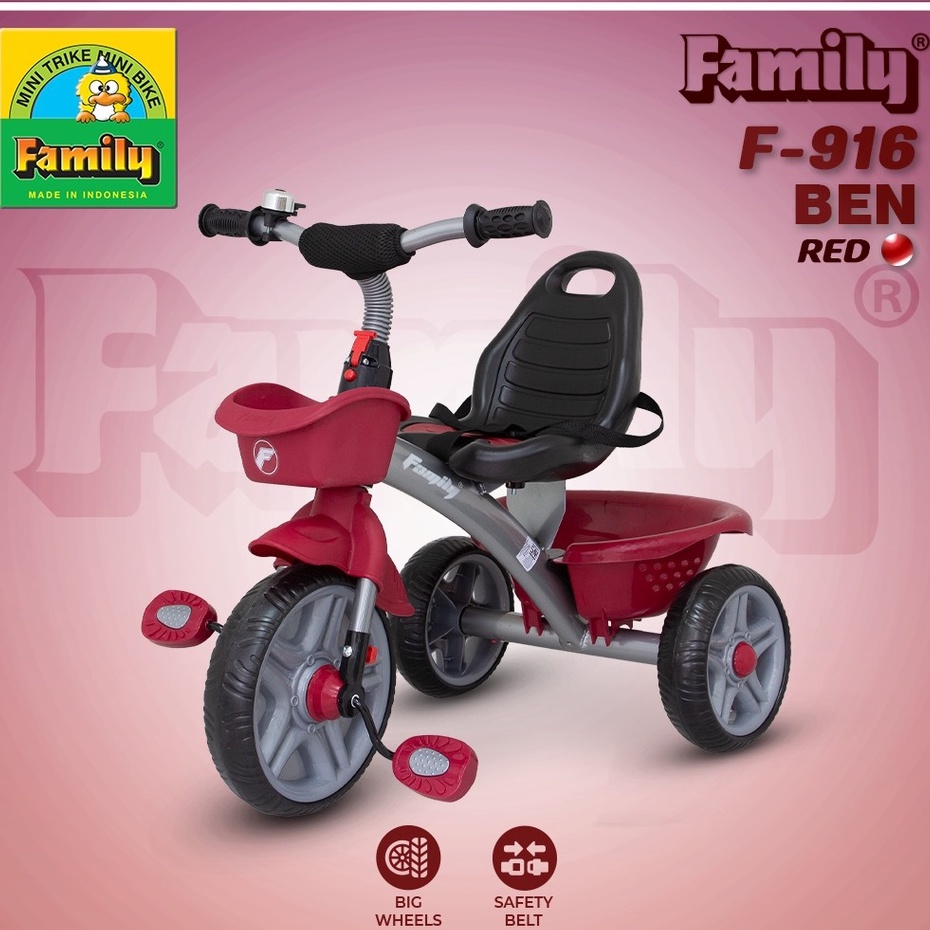 SEPEDA ANAK RODA FAMILY 916 BEN