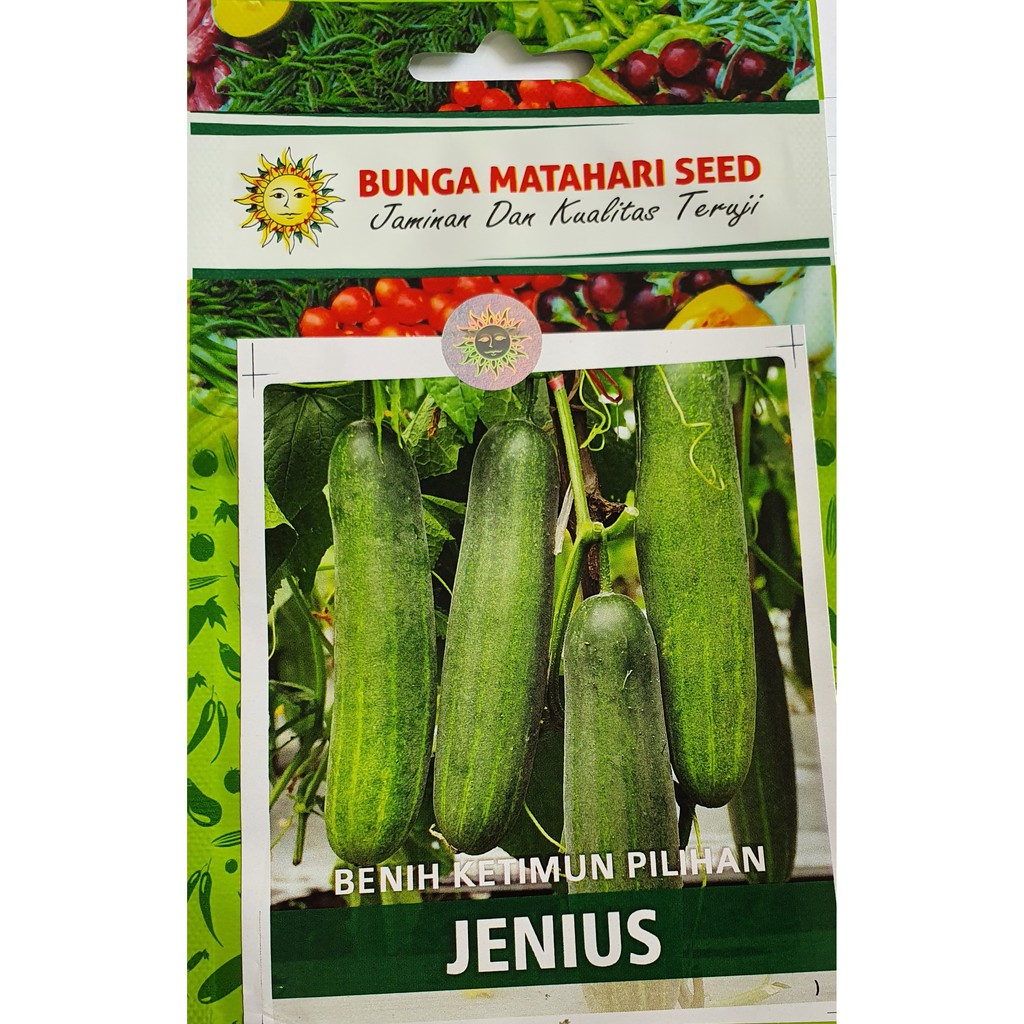 Jual Benih Ketimun Jenius (Cap Bunga Matahari) 160 butir (kemasan ...