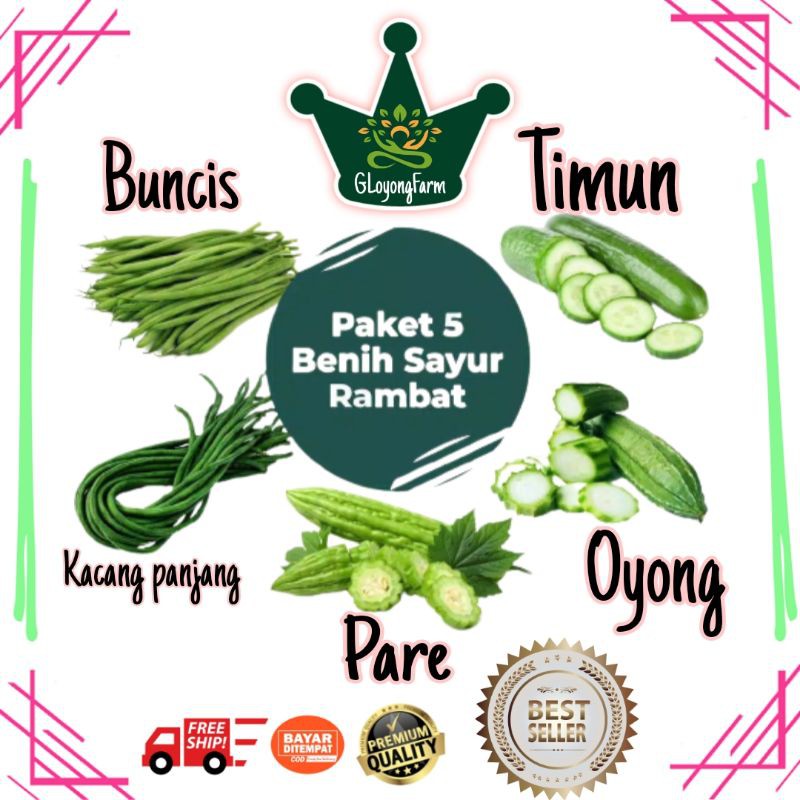 Jual Paket Benih Sayuran Rambat Bibit Sayur Buncis Kacang Panjang Pare Oyong Timun Lalap