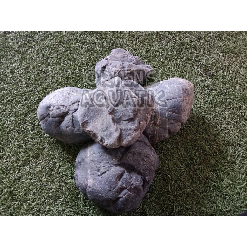 Jual Batu Aquascape - Batu Turly / Turli | Shopee Indonesia