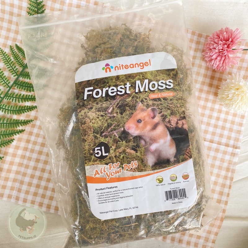 Niteangel Moss