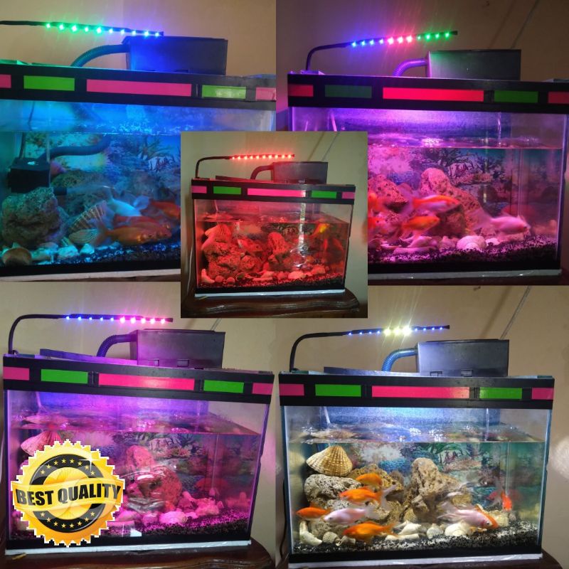 Jual Lampu Aquarium LED smd Panjang 20cm 10 titik Lampu Aquarium
