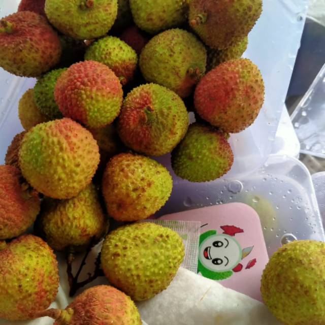 Jual leci/Lecy/lheych hijau Madu RRc | Shopee Indonesia