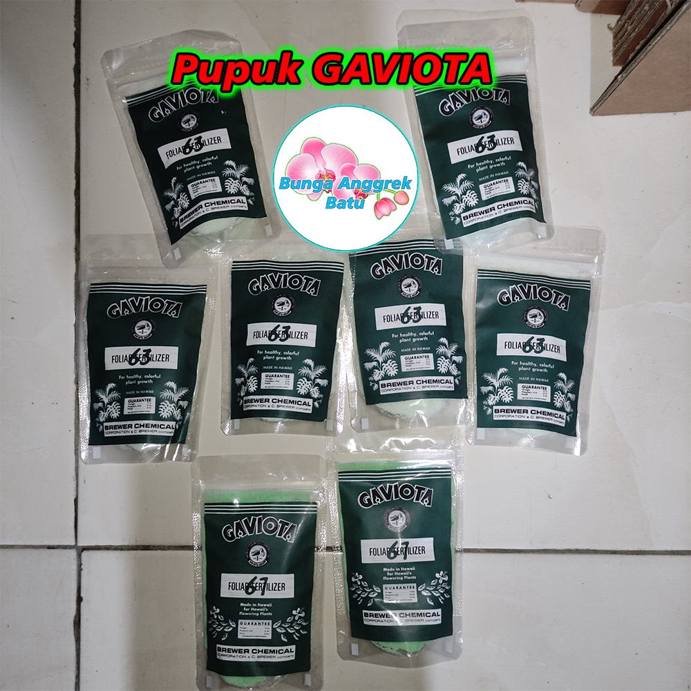 Jual Pupuk Anggrek Gaviota 6367 100gram Shopee Indonesia 