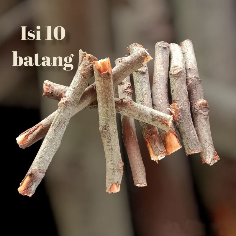 Jual Ranting Kayu Terlengkap & Harga Terbaru April 2026 | Shopee Indonesia