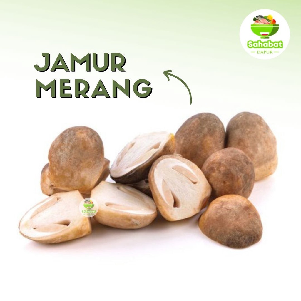 Jual Jamur Merang Jamur segar Sahabatdapur Shopee Indonesia