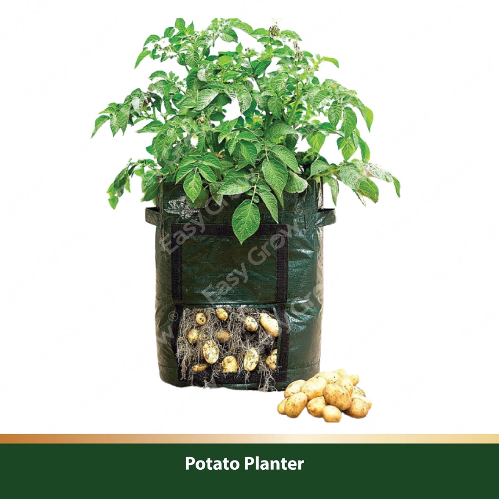 Jual Potato Planter Khusus Umbi Kentang / Planter Bag Umbi umbian Easy ...
