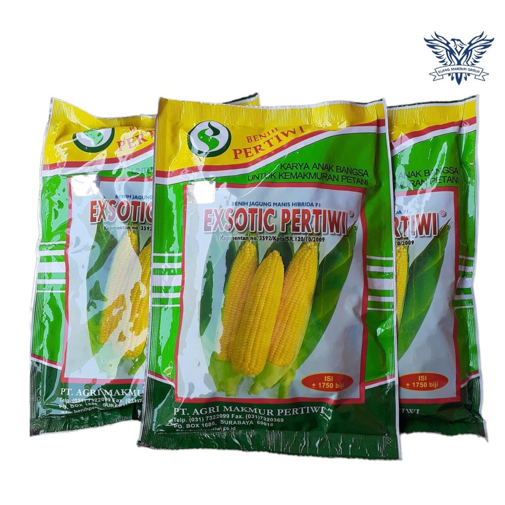 Jual Exsotic Biji Benih Jagung Manis Hibrida Pertiwi Jagung Eksotik Jagung Exotic Jagung