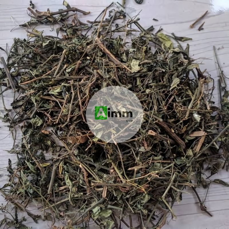 Jual Daun Sambiloto Kering Simplisia Daun Sambiloto Kg Shopee