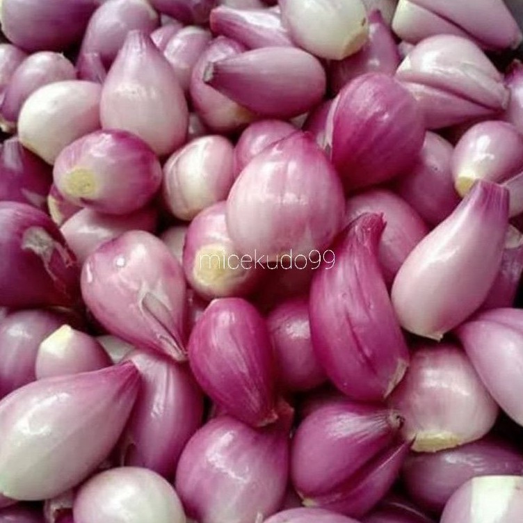 Jual Bawang Merah Kupas Segar Peeled Fresh Shallot Brambang Sayur