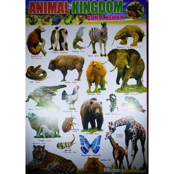 Jual POSTER EDUKASI SERI HEWAN | Shopee Indonesia