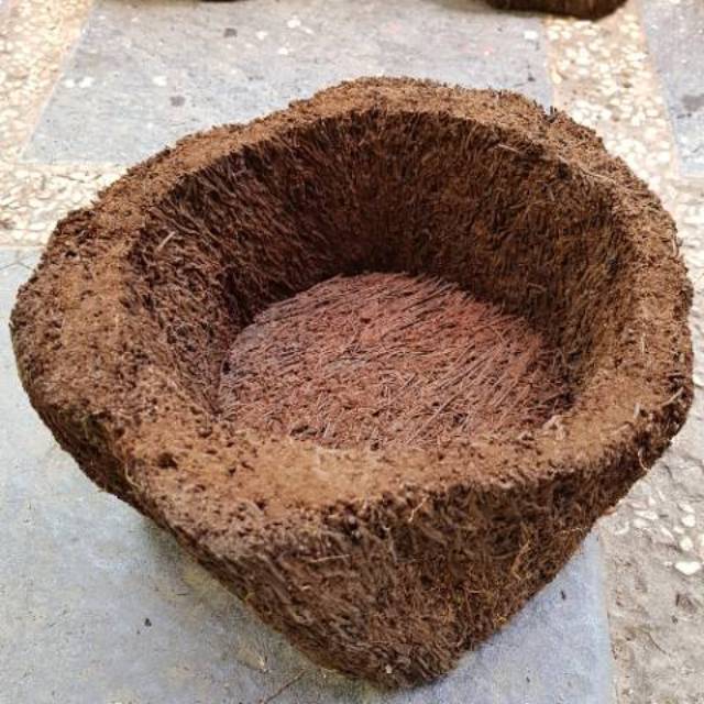 Jual Pot pakis natural pot anggrek | Shopee Indonesia