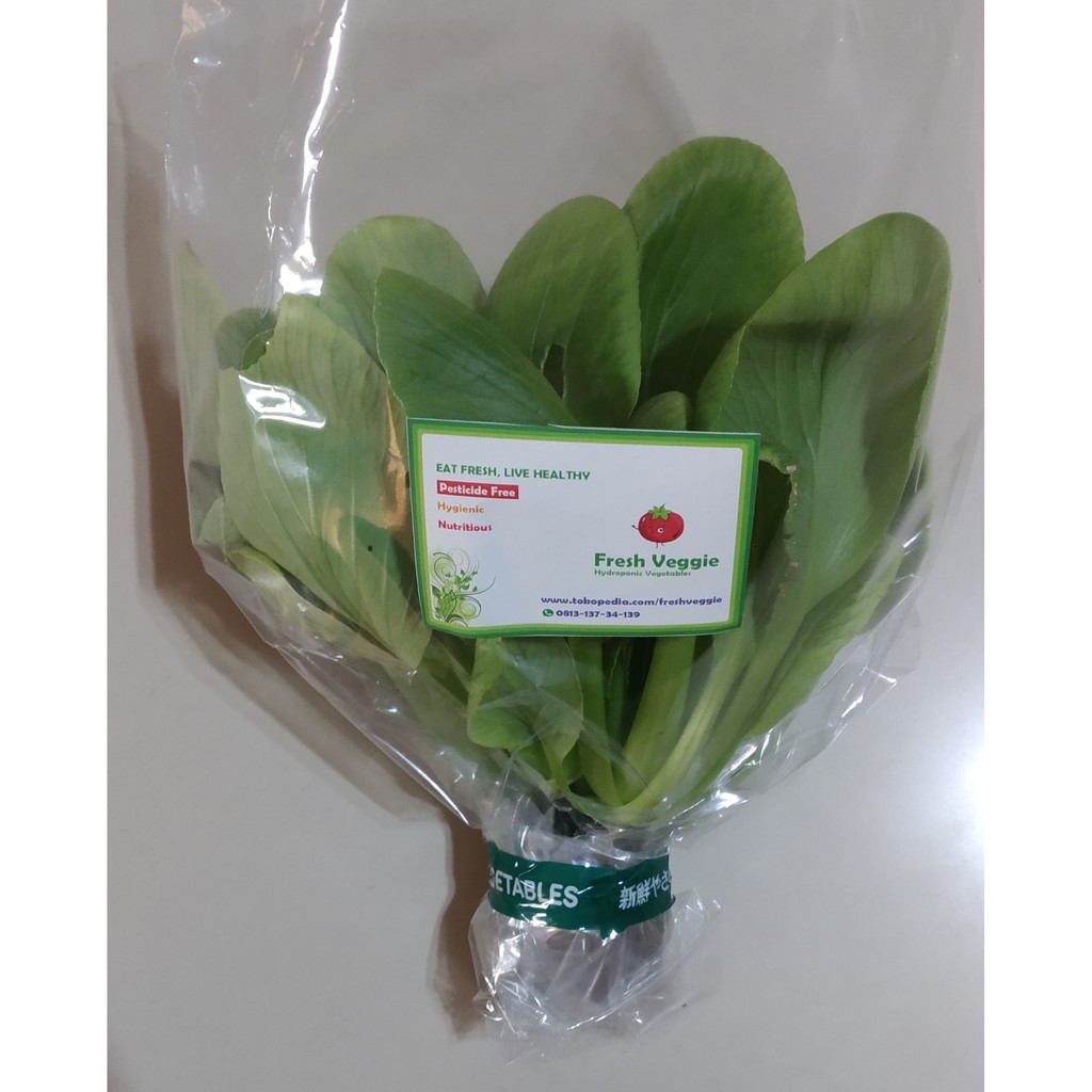 Jual Sayur Pakcoy Hidroponik 250 300gr Shopee Indonesia