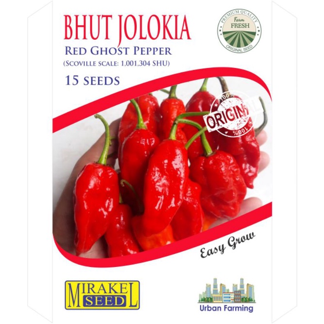 Jual 15 Seeds Benih Cabe Red Bhut Jolokia Ghost Pepper Super Pedas ...