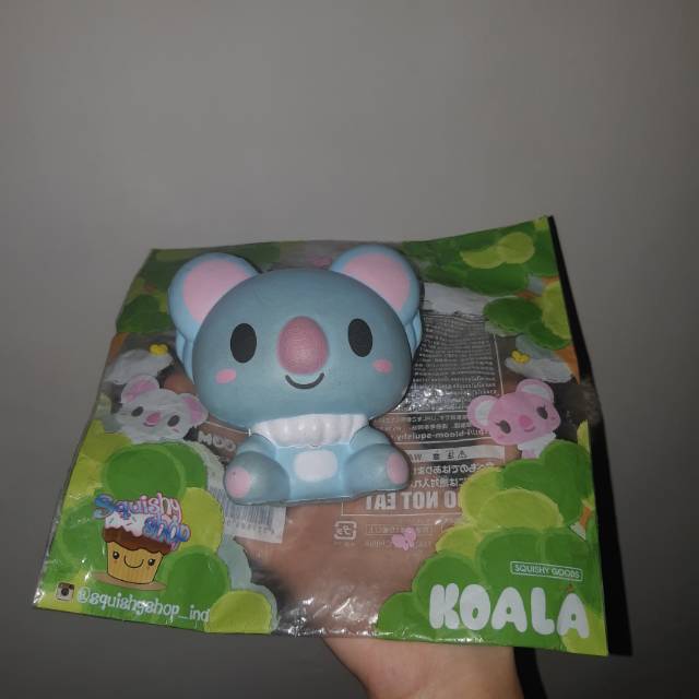 Ibloom koala store