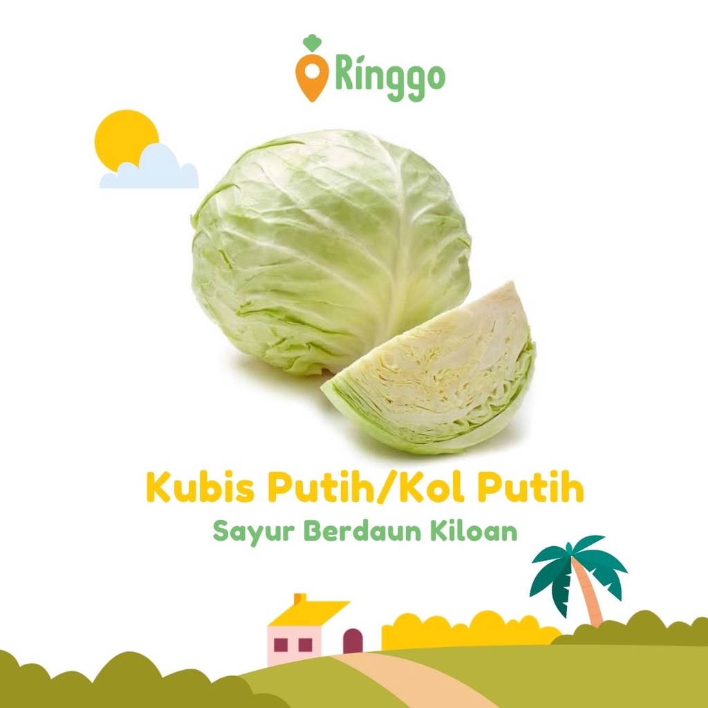 Jual Kubis Gubis Kol Putih 1kg Shopee Indonesia