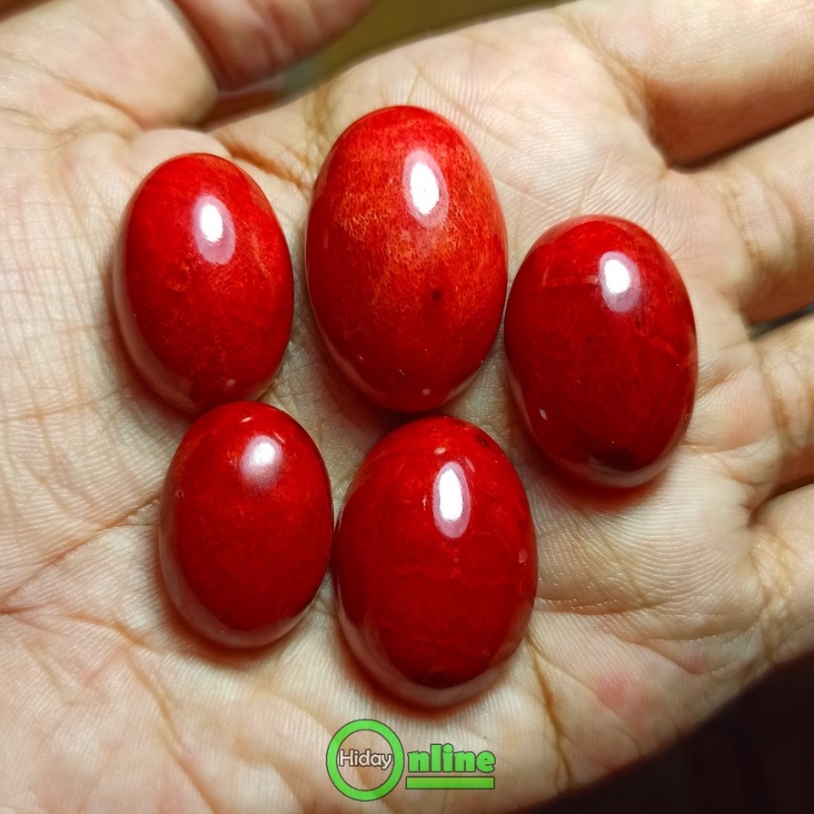 Jual BATU AKIK NATURAL MARJAN RED CORAL | Shopee Indonesia