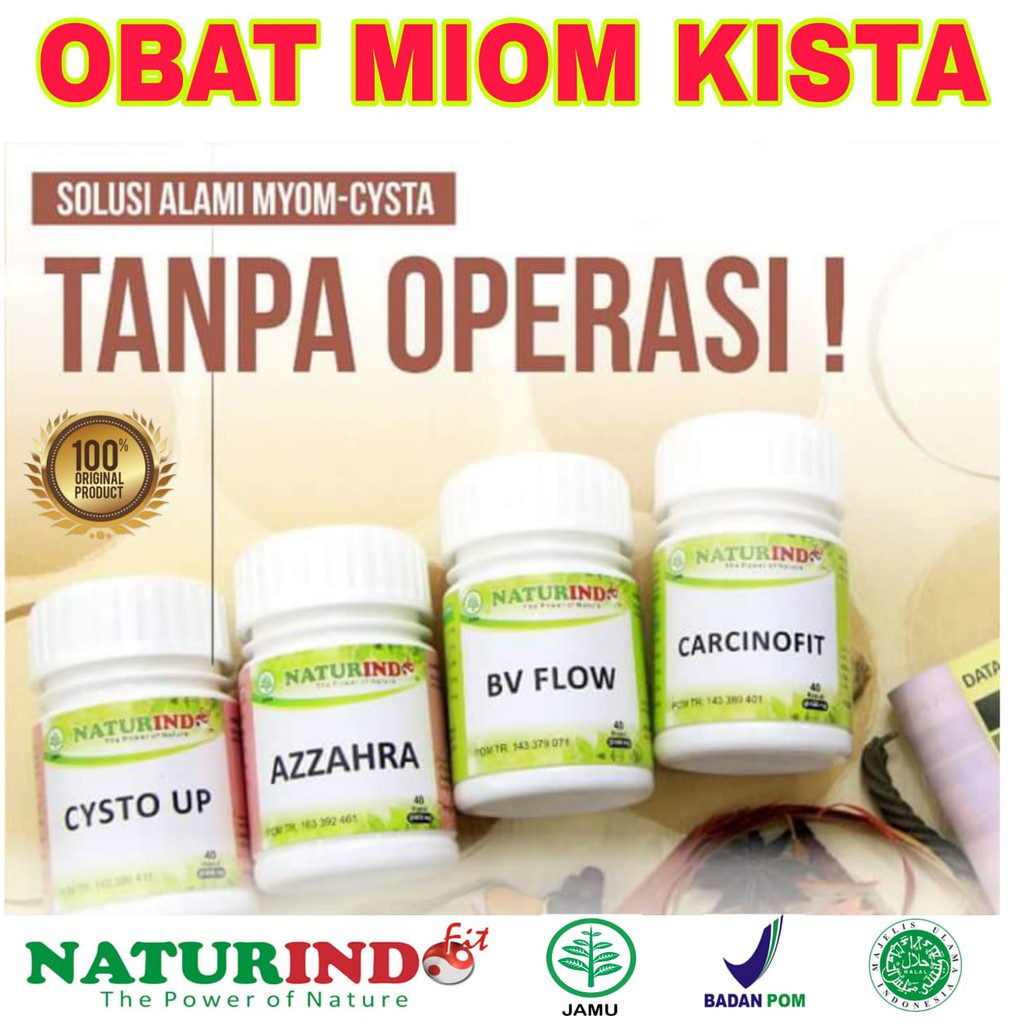 Jual Resep Obat Kista Miom Herbal Paling Manjur Mengatasi Kista Dan Miom Tanpa Operasi Naturindo 0550