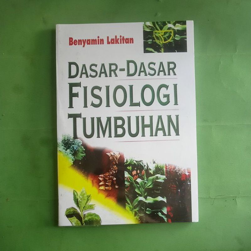 Jual BUKU DASAR-DASAR FISIOLOGI TUMBUHAN BENYAMIN LAKITAN | Shopee ...