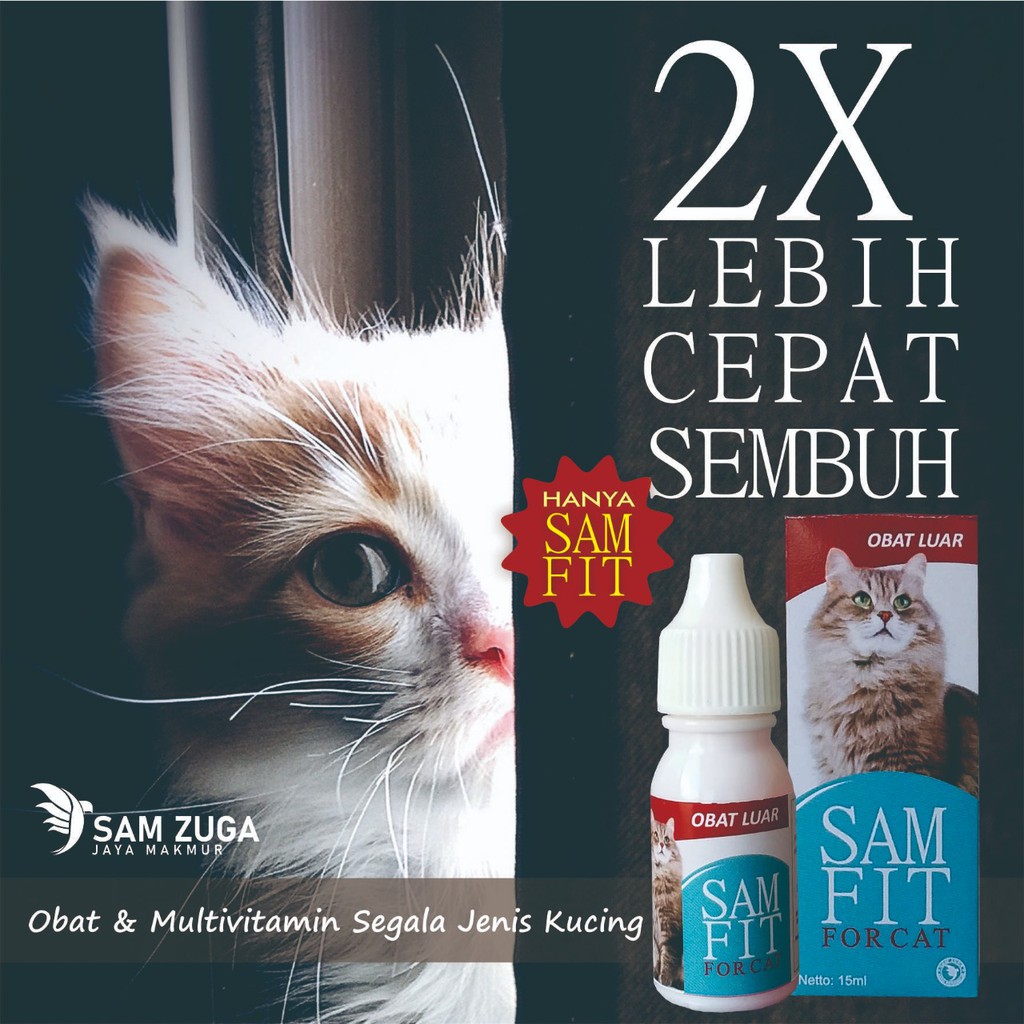 Jual Obat Jamur Kucing Scabies Luka Borok Berjamur Sakit Mata Kutu ...