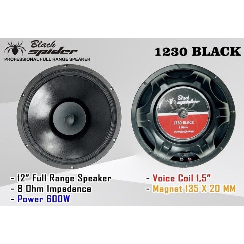 Speaker full store range 12 inch