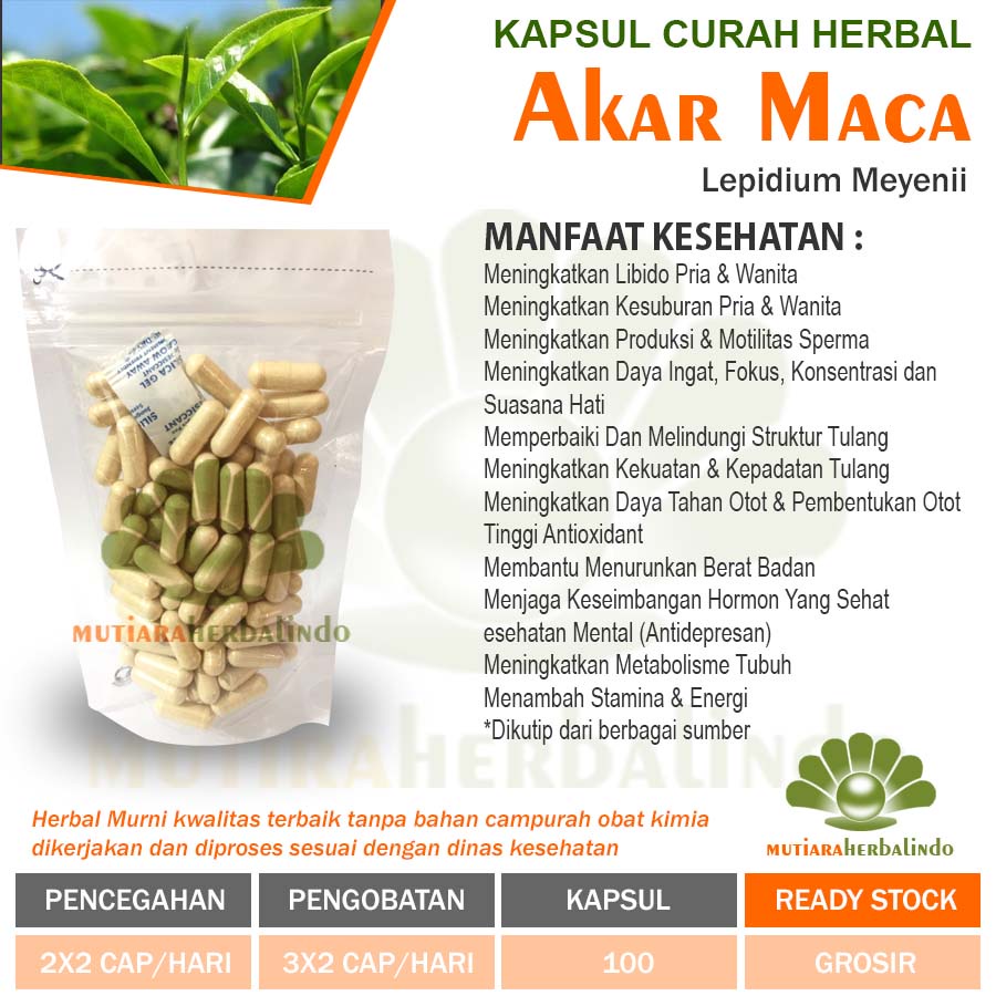 Jual Akar Maca 100 Kapsul Curah Herbal Stamina Libido Kesuburan Hormon Pria Shopee Indonesia 1536