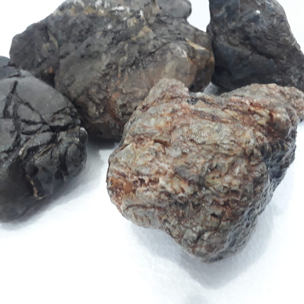 Jual Batu Turly Turley Stone - Hardscape Turli Aquascape Aquarium ...