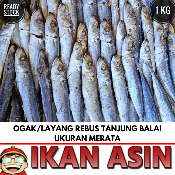 Jual Ikan Asin Layang Ogak Cue Rebus Kg Shopee Indonesia