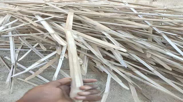 Jual Pring Bambu Bilah Ajir Turus Penyanggah Tanaman Kebun Rambat Sudah ...