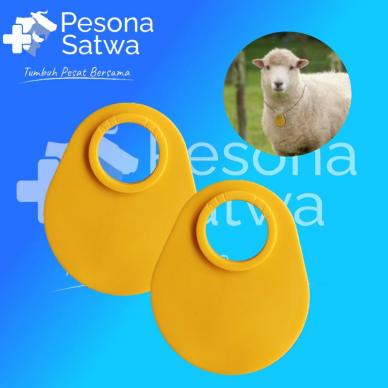 Jual Neck Tag - Kalung Penanda Leher, Ternak, Sapi, Domba, Kambing ...