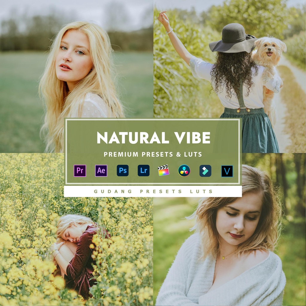 Jual Bisa Vn Natural Vibe Premium Preset Lightroom Luts Android Ios Pc Premiere Pro Davinci