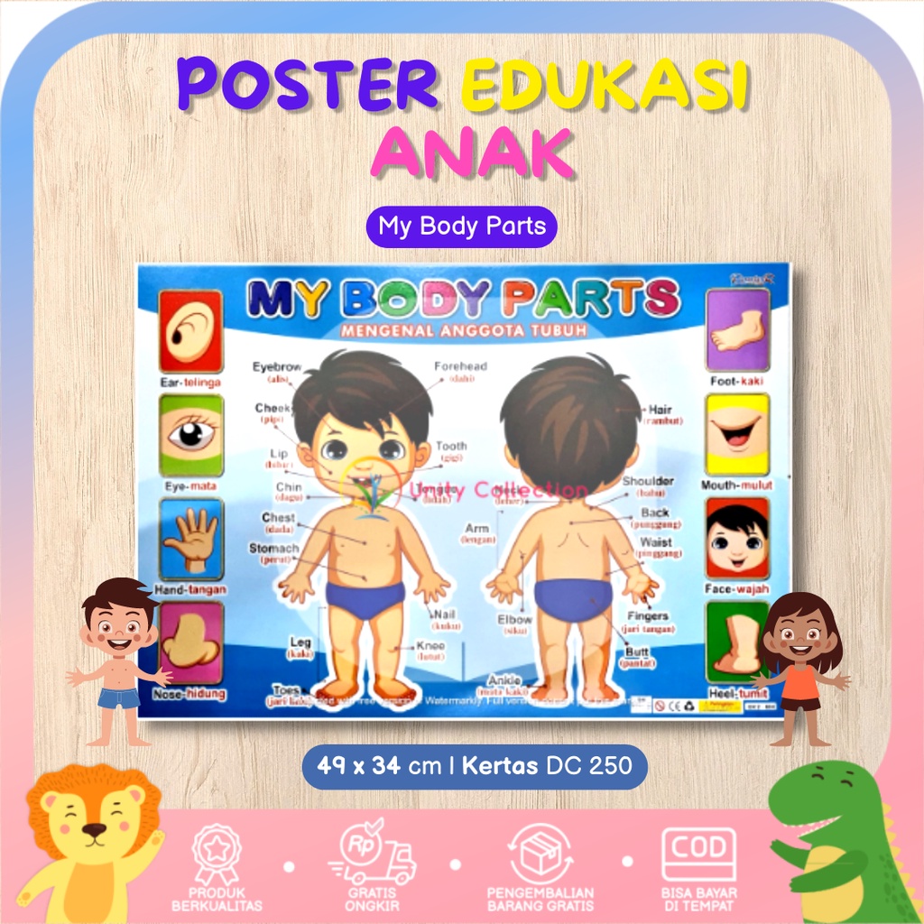 Jual Poster Edukasi Anak Mengenal Anggota Tubuh My Body Parts | Shopee ...