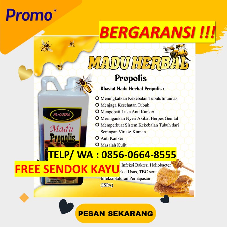 Jual Paling Laris !! Madu Herbal Propolis al Qubro -1KG- Minuman Sunnah