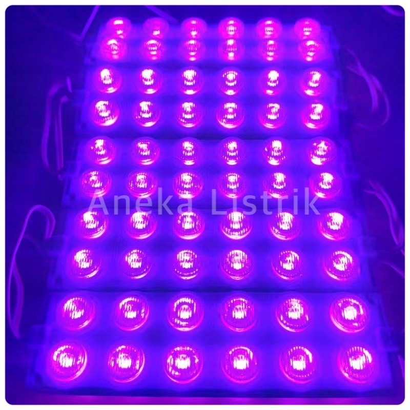 Jual LAMPU LED MODUL 6MATA SMD DC 12VOLT Dan 24VOLT WATERPROOF 6 MATA ...