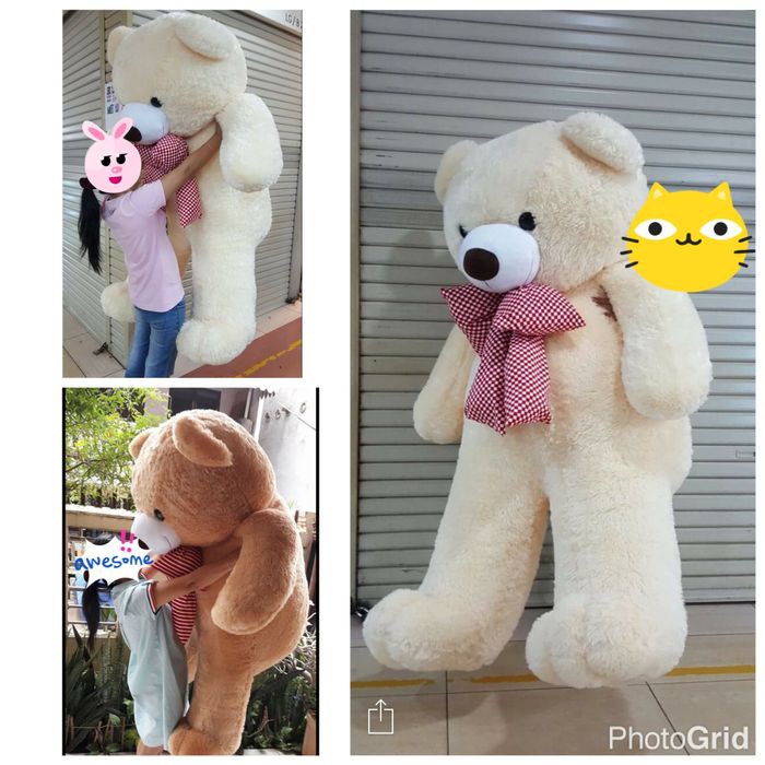 Jual Boneka teddy bear beruang super besar super giant 2 meter | Shopee ...