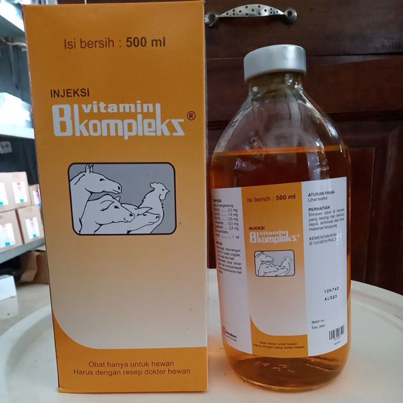 Jual VITAMIN B KOMPLEKS 500 ML - VITAMIN INJEKSI UNTUK Meningkatkan ...