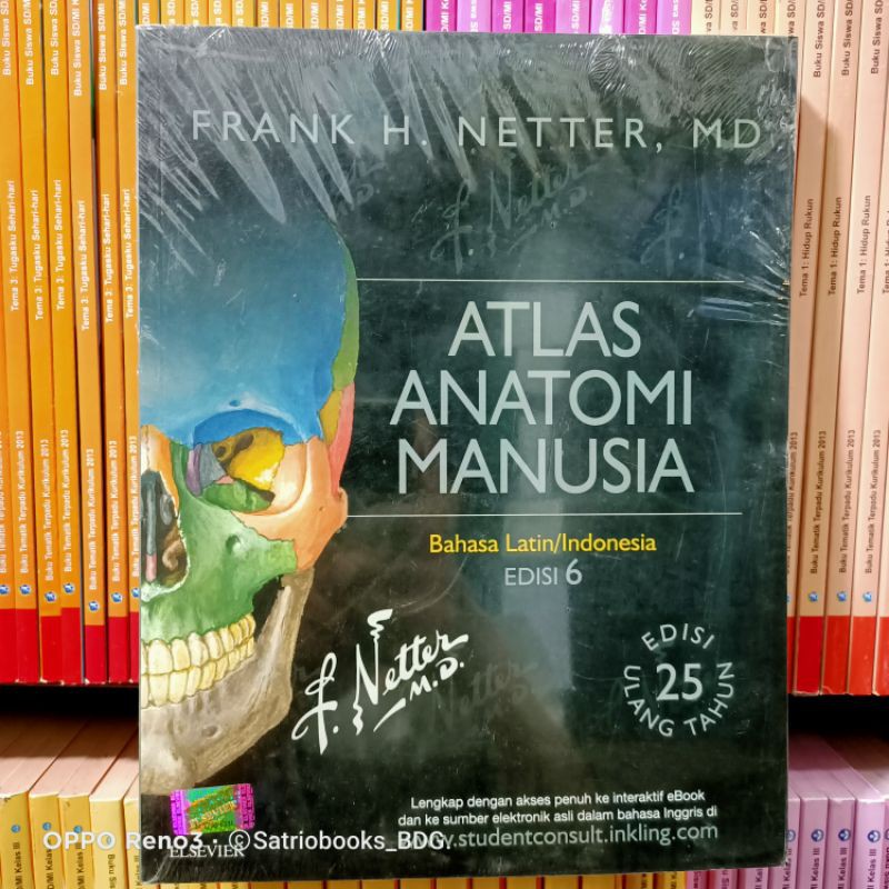 Jual BUKU ATLAS ANATOMI MANUSIA. Frank H Netter Edisi 6. ELSEVIER ...