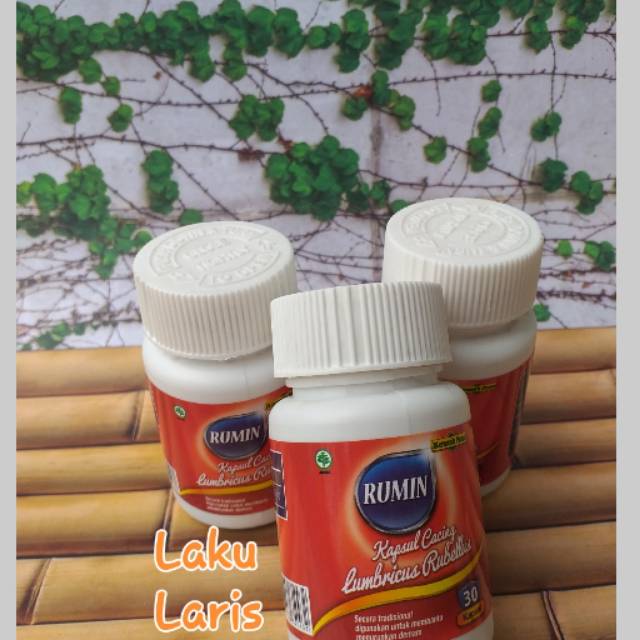 Jual Rumin Penurun Demam | Obat Tipes | Thypus | Kapsul Cacing | Shopee ...
