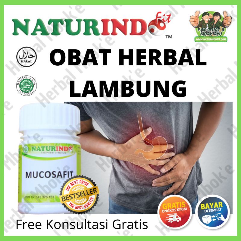 Jual Obat Herbal Lambung Maag Gerd Asam Tukak Lambung Magh Ampuh Bagus ...