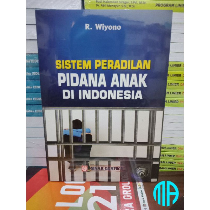 Jual Sistem Peradilan Pidana Anak Di Indonesia | Shopee Indonesia