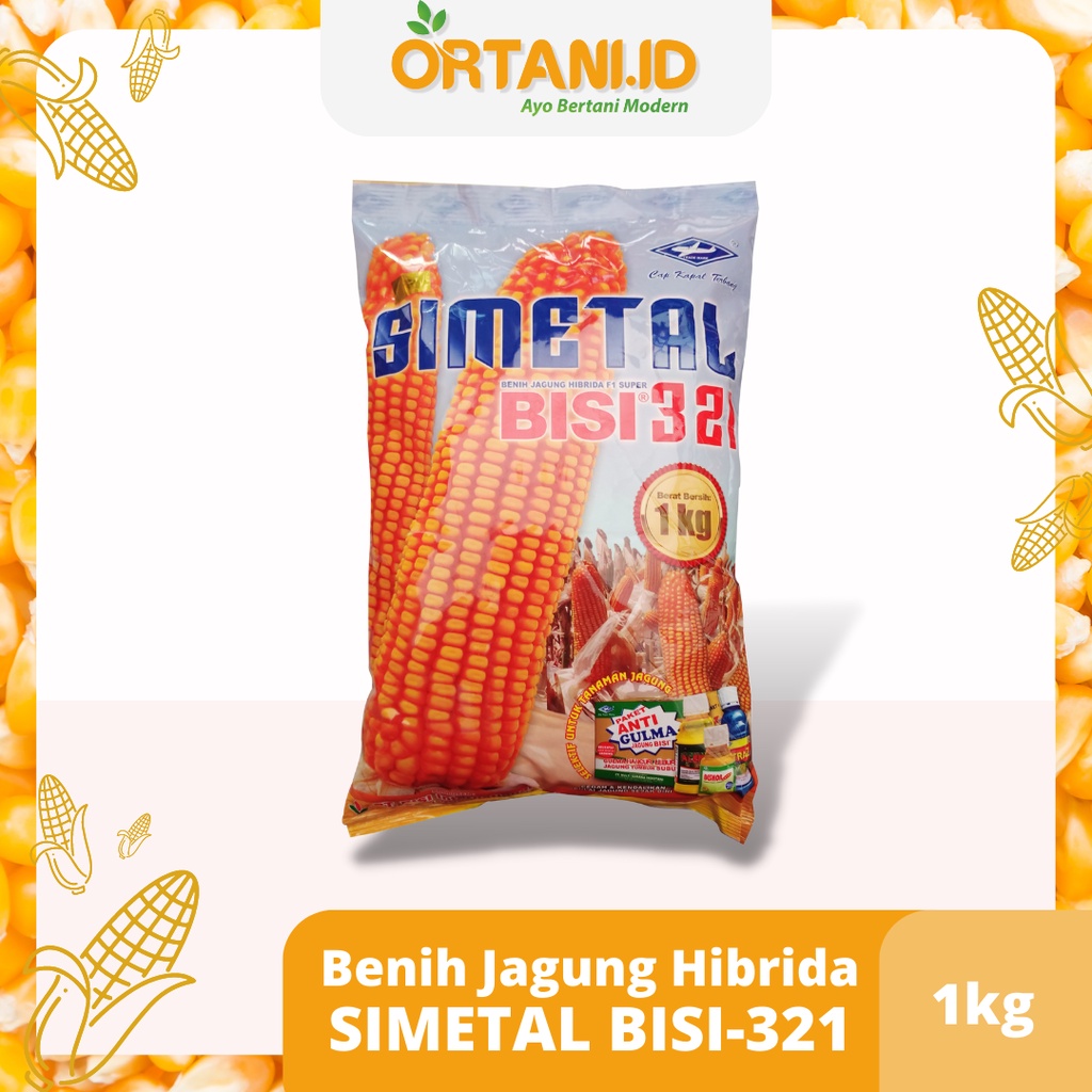 Jual Benih Jagung Simetal Bisi 321 Bibit Jagung Hibrida F1 Super Asli