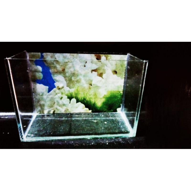 Jual Betta fish tank, soliter cupang, aquarium cupang Shopee Indonesia