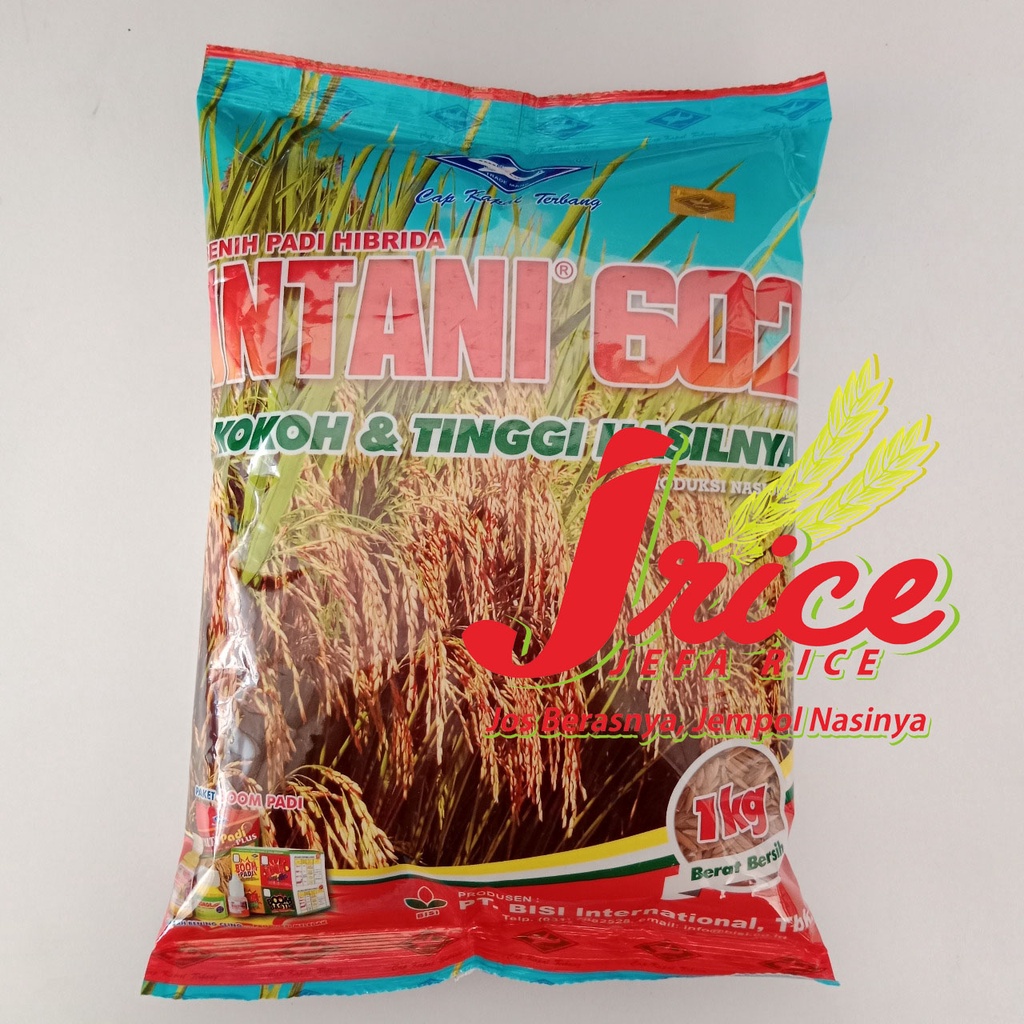 jual-benih-padi-hibrida-intani-602-bibit-padi-kemasan-1-kg-shopee