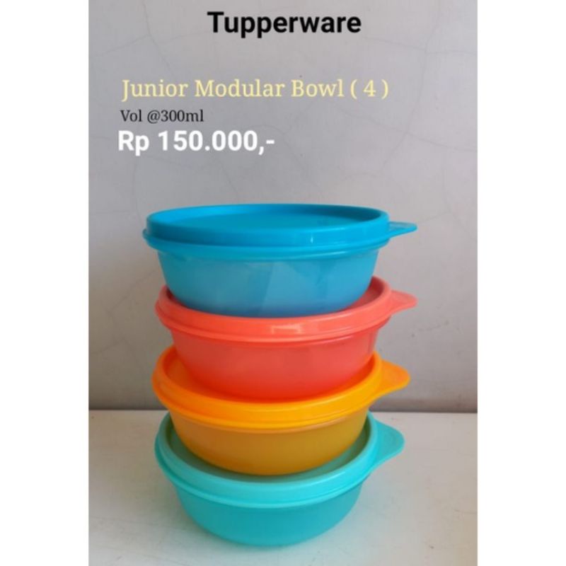 Jual Junior modular 4pcs | Shopee Indonesia